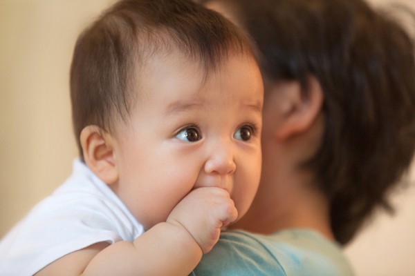 如何增强宝宝身体免疫力？添贝乐牛初乳粉让宝宝健康成长每一天