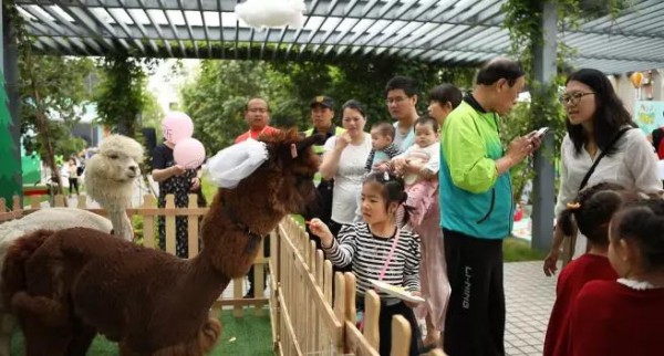 宝宝树完善线下亲子服务场景地图 继社区绘本馆后再成立亲子阅读联盟