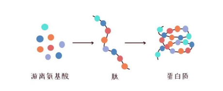 君乐宝水解奶怎么样